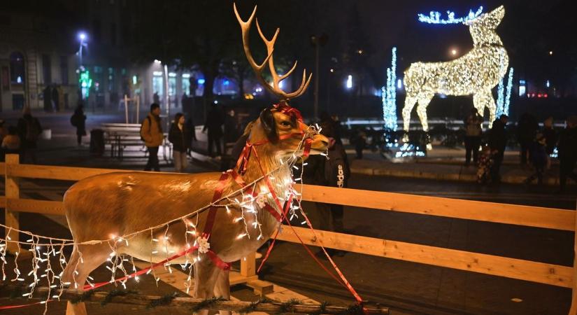 Programok: Folytatódik a Szegedi Karácsonyi Hetek, Adventi Hangverseny Csongrádon