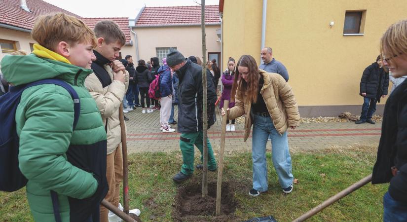 Osztályfát ültettek a kilencedikesek – videóval