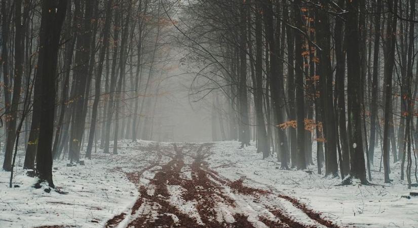 Veszélyes lesz a Szilvásvárad környéki erdő