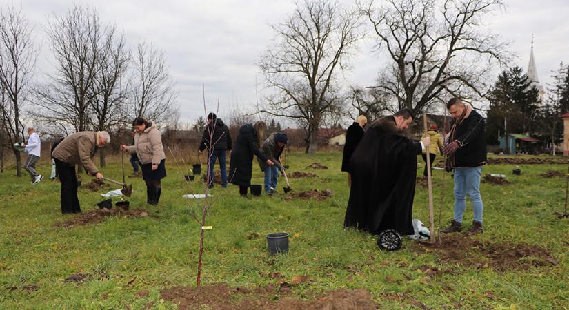 Testvértelepülési összefogás: adományok és faültetés a ráti gimnáziumban