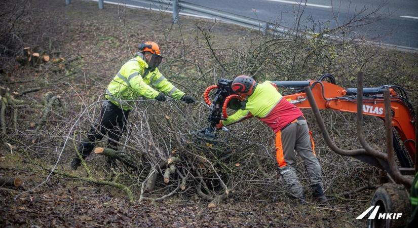 M1: bozót- és cserjeirtás