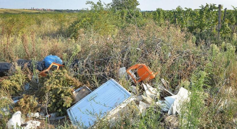 Közösségellenes magatartás lett az illegális szemetelés Vásárhelyen