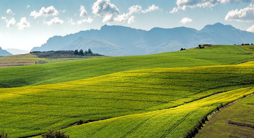 AM: gazdaközpontú agrárpolitikára van szükség Brüsszelben