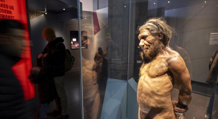 Kiderült, hogy mikor cseréltek DNS-t az emberek és a neandervölgyiek