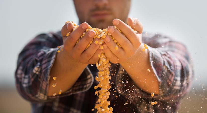 Egységesen lépnek fel a V4-agrárkamarák a gazdák védelmében