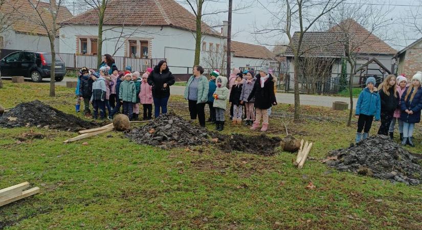 Fák, gyerekek és összefogás – ilyen a zöld forradalom Tiszatenyőn