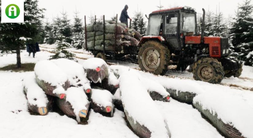 3 napos időjárás-előrejelzés: Minden nap havazhat!