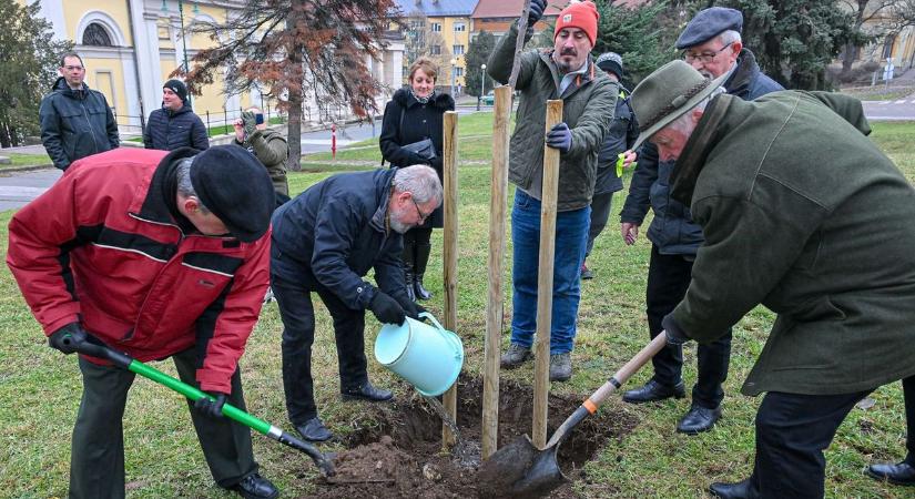 Faültetéssel ünnepelt az Életfa Környezetvédő Szövetség