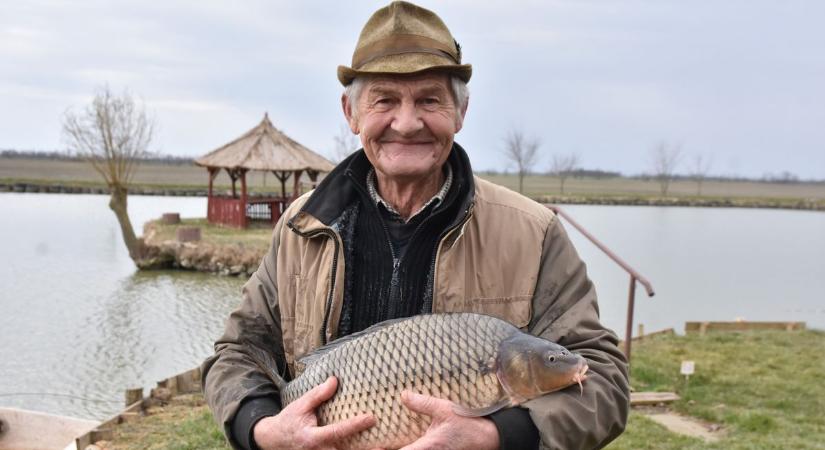 Karácsonykor esszük meg az éves halfogyasztásunk 35-40 százalékát