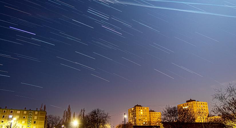 Nap képe: teliholdas csillagjárás a Hódtói parkban