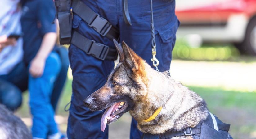 Friss részletek a párizsi magyar nagykövetség elleni bombafenyegetésről