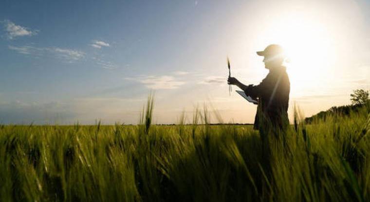 Uniós agrárstratégiáért és külkapcsolatokért felelős alelnököt választott a NAK