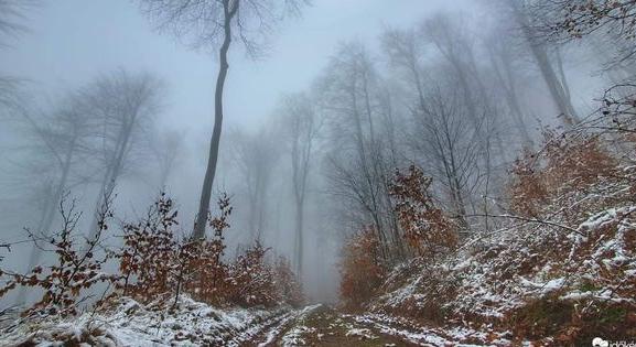 Tragikus fordulatot vett a túra, tűzoltóknak és a mentőknek is ki kell szállni a Börzsönybe