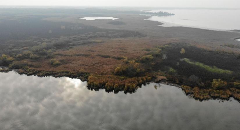 Átveszik a Tisza-tó halgazdálkodási jogát a helyi önkormányzatoktól