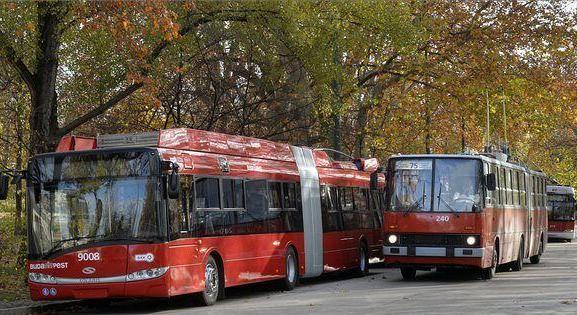 Vitézy Dávid szerint nőnek az autóink, de megoldást is javasol erre