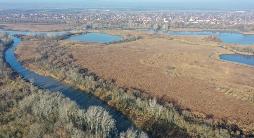 Beállították a Tisza-tó téli vízszintjét