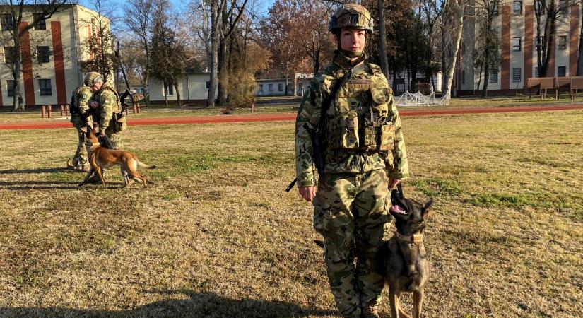 Négylábú bajtársak az EUFOR misszióban Szentesről