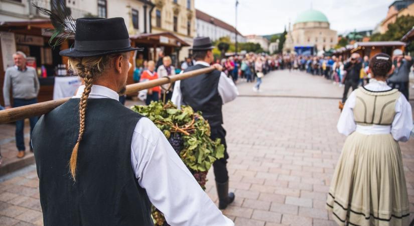 Európai Bordalfesztivál 2025 Pécs