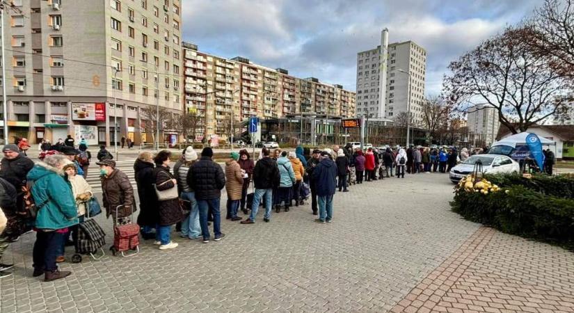 Kígyózó sorok a DK gyümölcsosztó akcióján