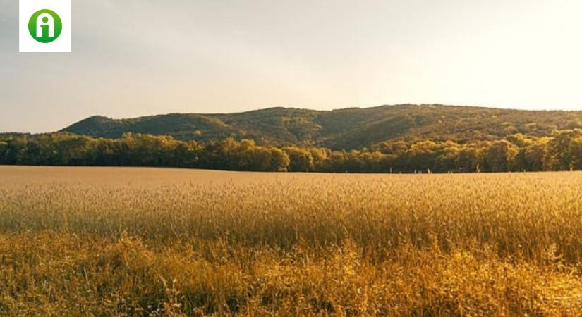 Íme az új Agrár-erdészeti rendszerek telepítése pályázat