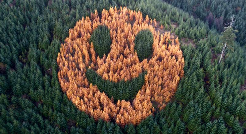 90 méteres mosolygós smiley tűnik fel minden ősszel egy oregoni domboldalon