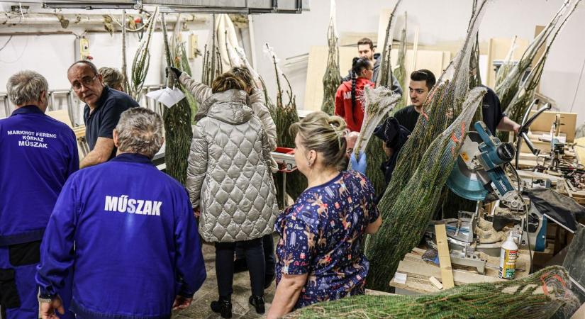 Fenyőillatú lesz az egri kórház