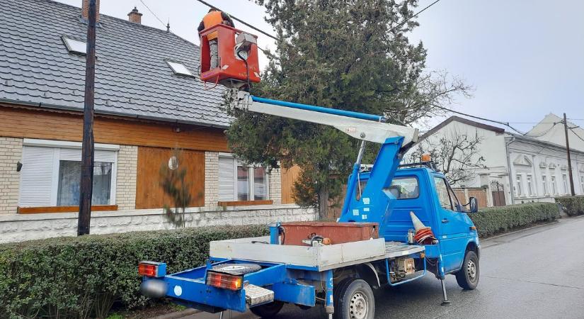 Vezetékre lógó ágakat távolítanak el Nyíregyházán