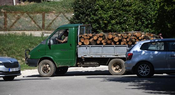 A kormány két év után eltörölte a tűzifa kivitelét tiltó rendeletet