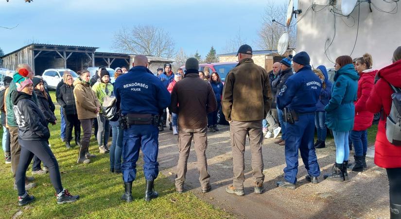 Újabb állatokat mentettek a pokolból