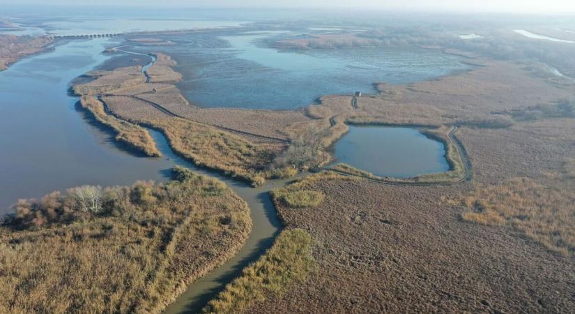 Csak egy árhullám zavarhatja meg a Tisza-tó „téli álmát"