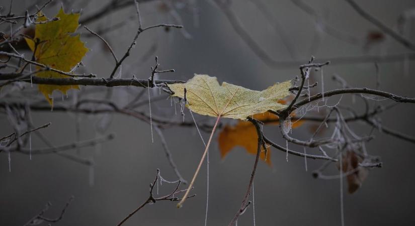 A borús reggel után a nap is kisüthet Hajdú-Biharban