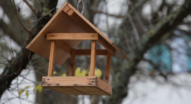 A természet ölelése az arborétum