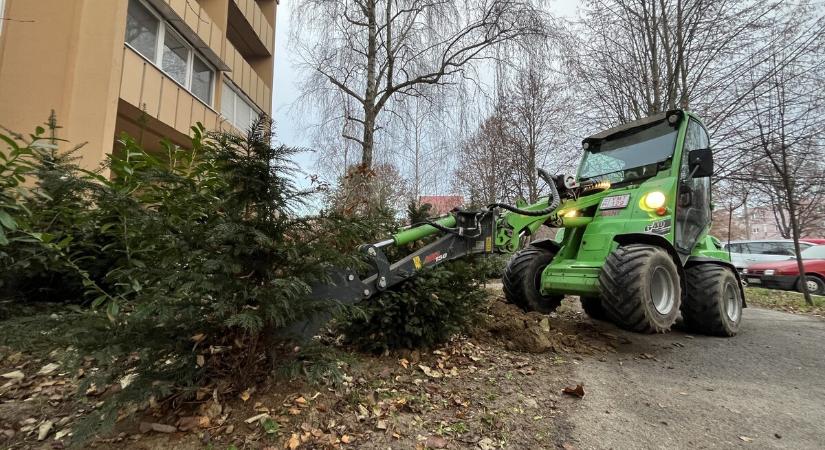 Illegális kertet számolnak fel a Városkapu körúton