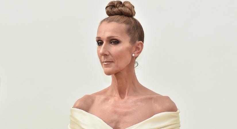 Céline Dion szívszorító fotója láttán képtelenség visszatartani a sírást: fájdalmasan gyönyörű pillanatot osztott meg az énekesnő