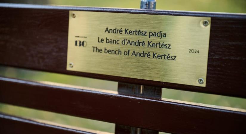 Padot avattak André Kertész tiszteletére a Múzeumkertben