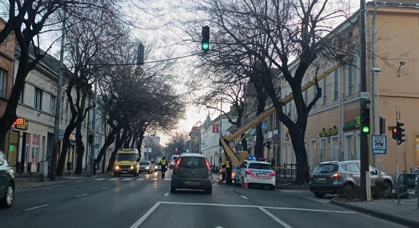 El sem hinné, galambok akadályozták a forgalmat a belvárosban – videóval