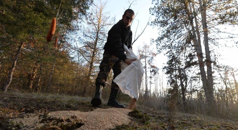 Karácsony a vadaknak: diákok vitték az ünnepi menüt az ásotthalmi erdőbe – galériával, videóval