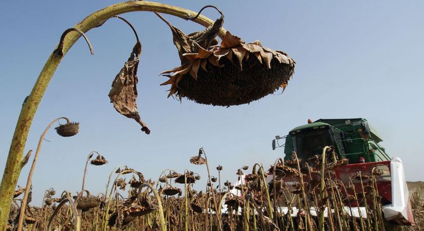 Eddig több mint kétszázezren töltötték ki az agrárpetíciót