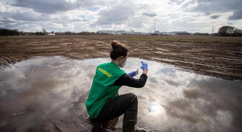 Lassan egy éve vár hiába hatósági válaszokra a Greenpeace