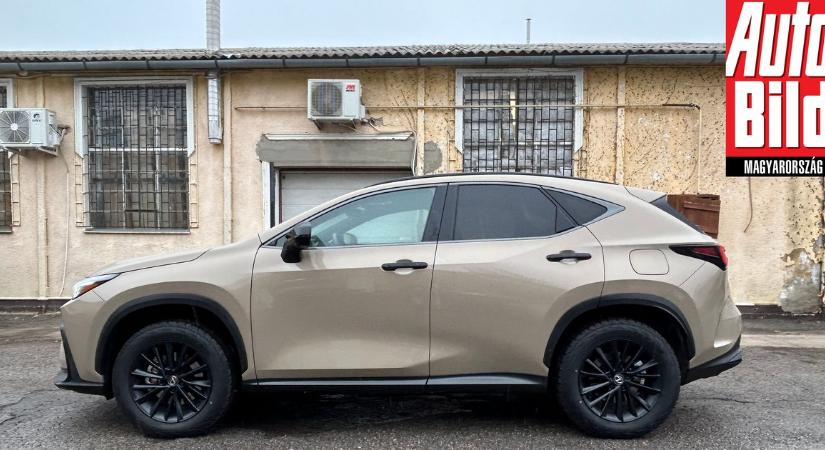 Nincs miért sietni - Auto Bild teszten a Lexus NX 350h Overtrail