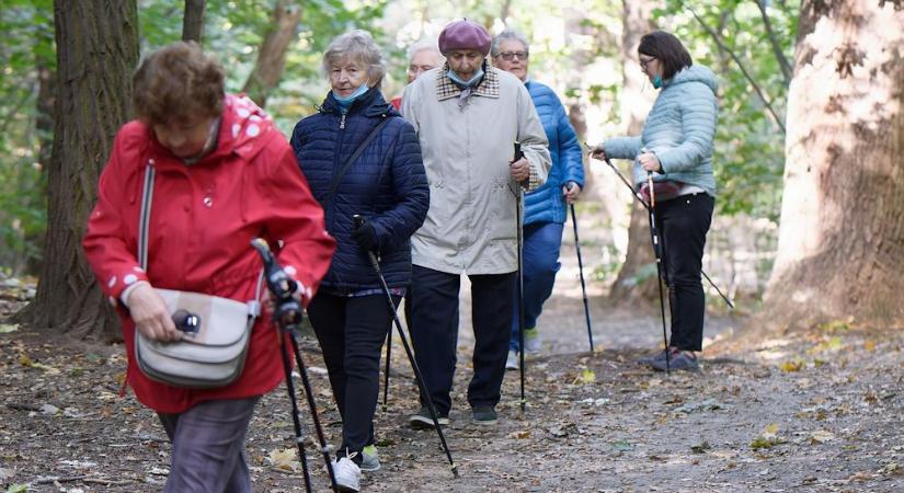 Mi az a nyugdíjas kártya, és miért érdemes beszerezni?