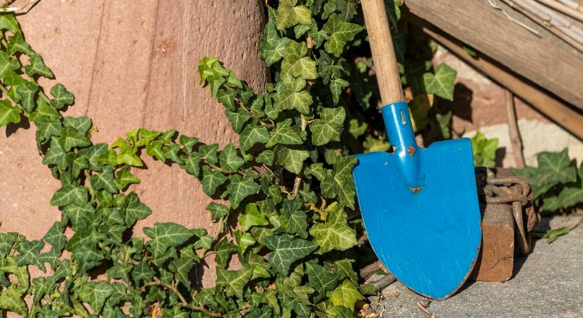 Tombolt az őrjöngő férfi, ásóval csépelte az autót