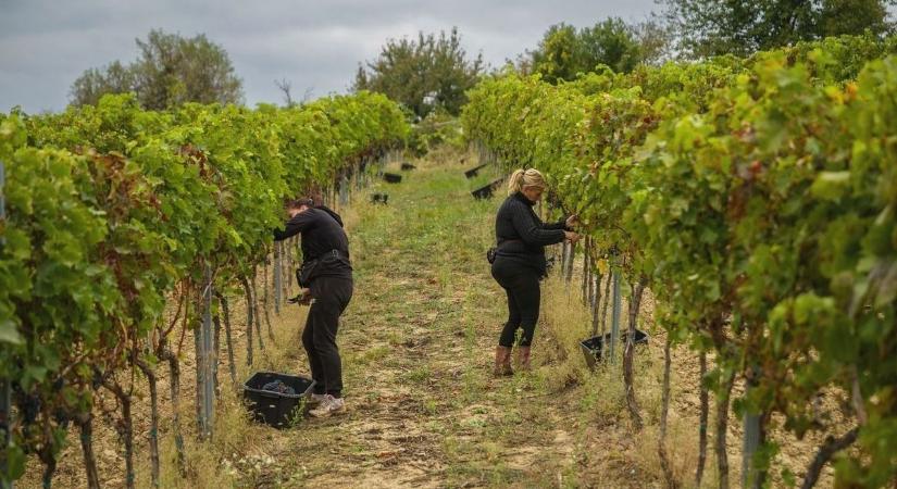 Közigazgatási bírság: jövő év elejétől már nincs pardon!