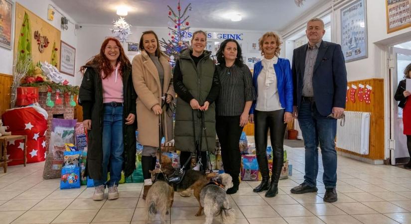 Otthontalan állatoknak gyűjtöttek két autónyi adományt a balatonboglári iskolások