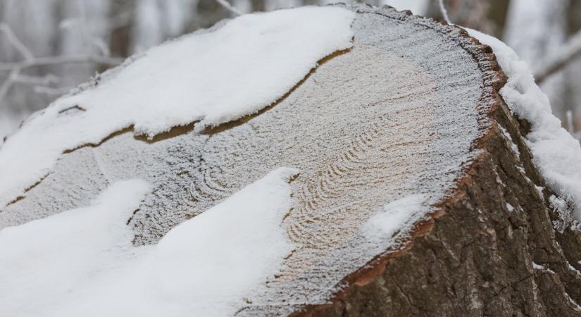 Ilyen idő lesz szenteste és karácsonykor! - Fehér lesz?