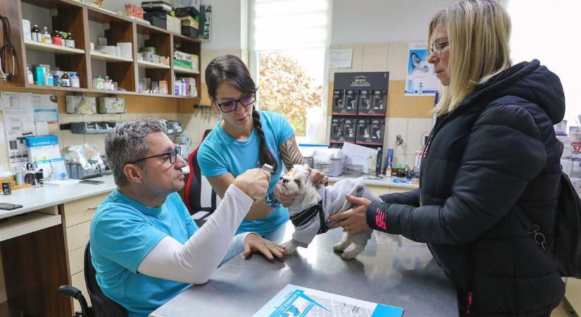 Mutatjuk, így tart ügyeletet a szombathelyi Állatkórház, ha baj lenne kedvencünkkel az ünnepek alatt