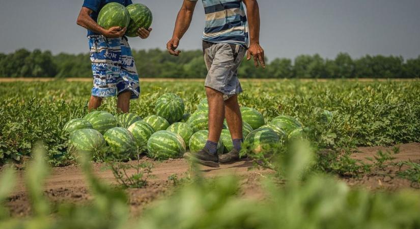 Januártól megemelkedik az alkalmi munka adója