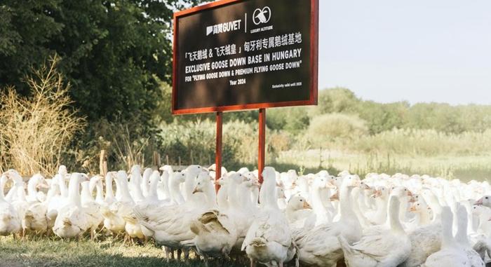 A kínai GUVET az FBZ Hungária stratégiai partnere