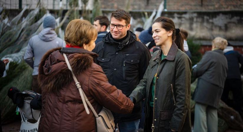 Kedvezményes fenyőfavásárt tartottak a fővárosban