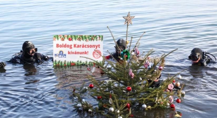 Egy tó fenekén állítottak karácsonyfát a magyar búvárok  videó